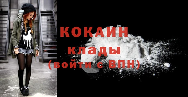 ECSTASY Ельня