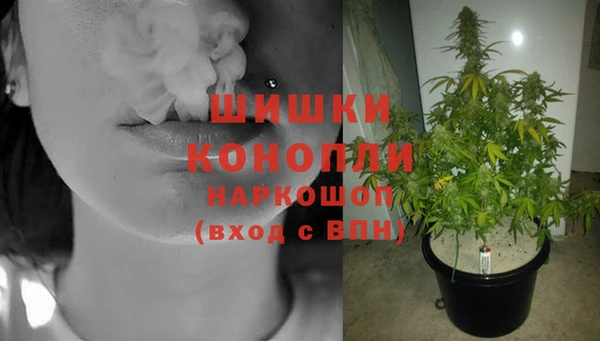 метадон Елизово