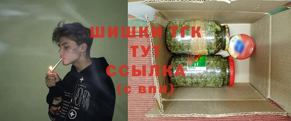 ешки Елабуга