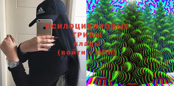 метадон Елизово