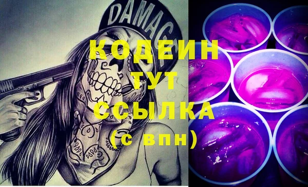 ECSTASY Ельня