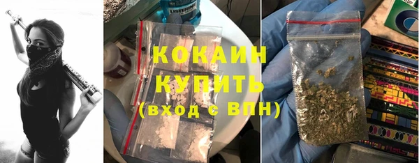 метадон Елизово