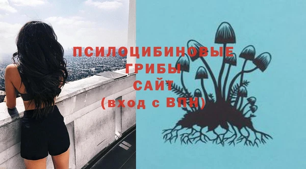 ECSTASY Ельня