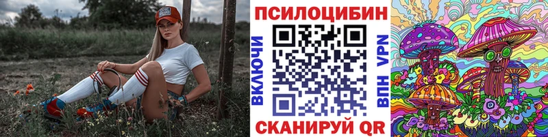 Псилоцибиновые грибы Magic Shrooms  наркота  нарко площадка состав  Онега 